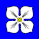 Icon 8802